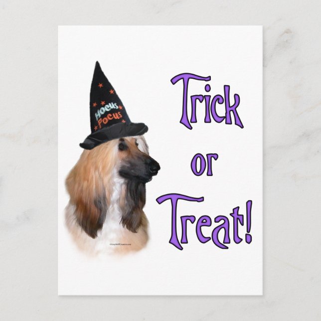 Afghan Trick Postcard (Front)