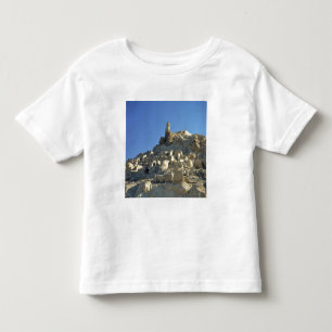 Afghanistan, Bamian Valley. Legend tells that Toddler T-Shirt