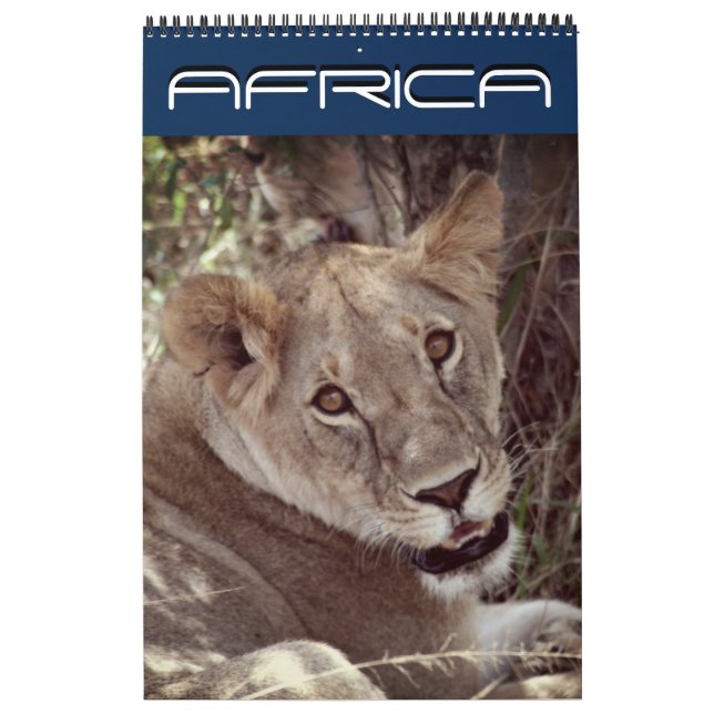 africa 15 month calendar (Cover)