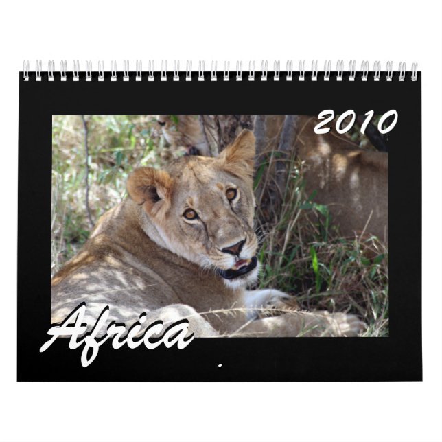 Africa 2010 15 month calendar (Cover)