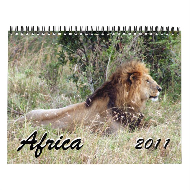 africa 2011 15 month calendar (Cover)