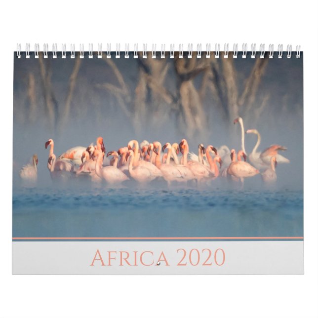 Africa 2020  Wildlife Calendar (Cover)