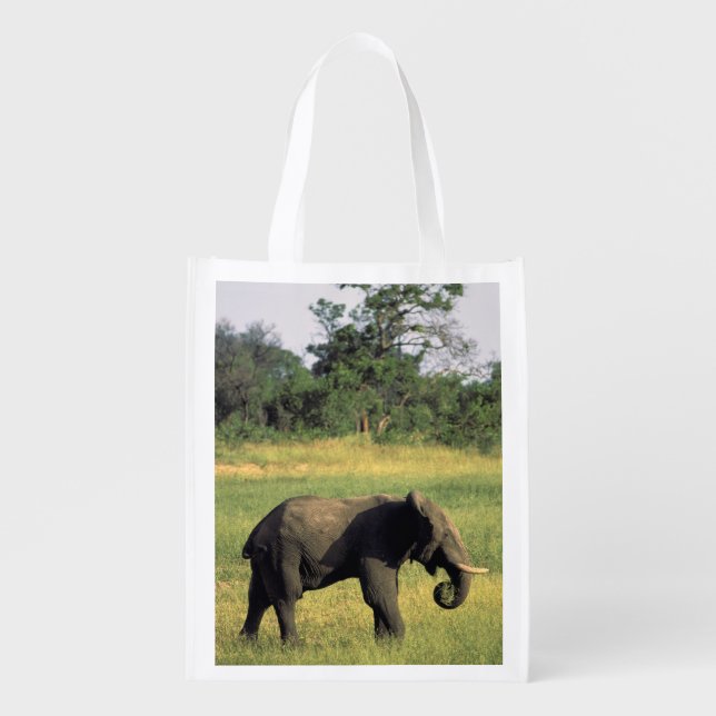 Africa, Botswana, Chobe National Park. Elephant Reusable Grocery Bag (Front)
