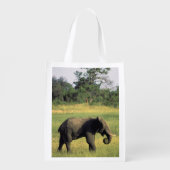 Africa, Botswana, Chobe National Park. Elephant Reusable Grocery Bag (Back)