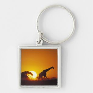 Africa, Botswana, Chobe National Park, Giraffe 2 Key Ring