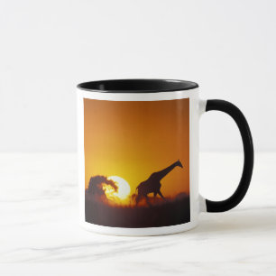 Africa, Botswana, Chobe National Park, Giraffe 2 Mug