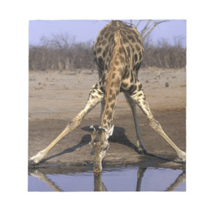 Africa, Botswana, Chobe National Park, Giraffe Notepad