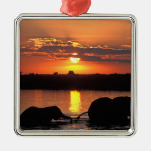 Africa, Botswana, Chobe National Park, Herd Metal Tree Decoration