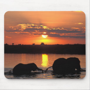 Africa, Botswana, Chobe National Park, Herd Mouse Mat