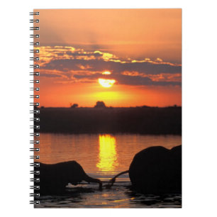 Africa, Botswana, Chobe National Park, Herd Notebook
