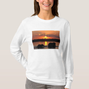 Africa, Botswana, Chobe National Park, Herd T-Shirt