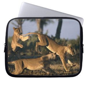 Africa, Botswana, Chobe National Park, Lionesses Laptop Sleeve