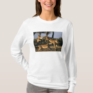 Africa, Botswana, Chobe National Park, Lionesses T-Shirt