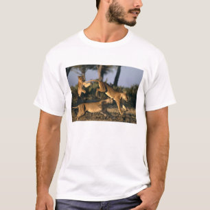 Africa, Botswana, Chobe National Park, Lionesses T-Shirt