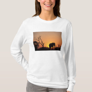 Africa, Botswana, Chobe National Park, Setting T-Shirt