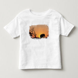 Africa, Botswana, Chobe National Park, Setting Toddler T-Shirt