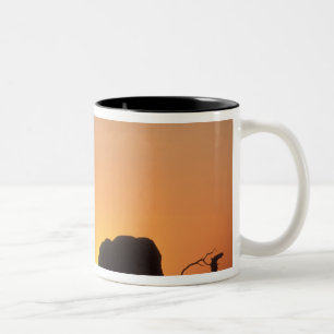 Africa, Botswana, Chobe National Park, Setting Two-Tone Coffee Mug