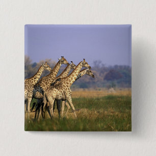 Africa, Botswana, Moremi Game Reserve 15 Cm Square Badge