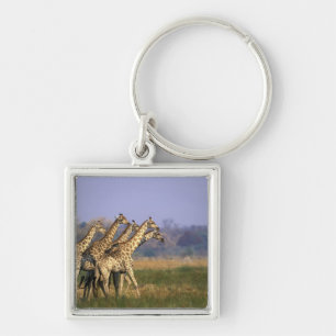 Africa, Botswana, Moremi Game Reserve Key Ring