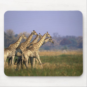 Africa, Botswana, Moremi Game Reserve Mouse Mat