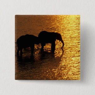 Africa, Botswana, Okavango Delta. African 15 Cm Square Badge