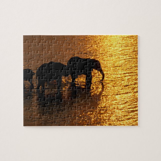 Africa, Botswana, Okavango Delta. African Jigsaw Puzzle (Horizontal)