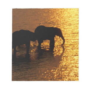 Africa, Botswana, Okavango Delta. African Notepad