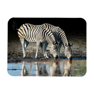 Africa,Botswana, Okavango Delta, Davison Camp Magnet