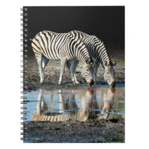 Africa,Botswana, Okavango Delta, Davison Camp Notebook