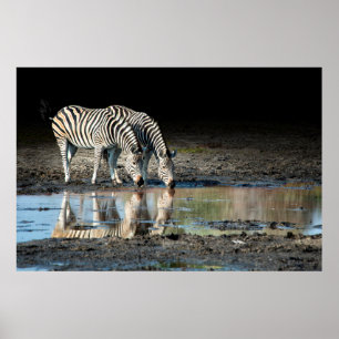 Africa,Botswana, Okavango Delta, Davison Camp Poster