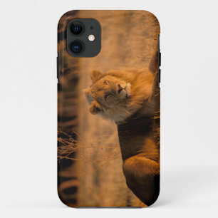 Africa, Botswana, Okavango Delta. Lion (Panthera iPhone 11 Case