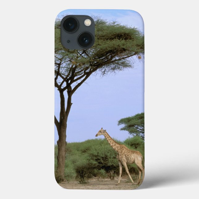 Africa, Botswana, Okavango Delta. Southern Case-Mate iPhone Case (Back)