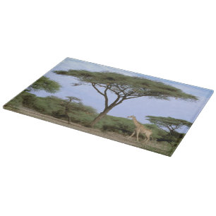 Africa, Botswana, Okavango Delta. Southern Cutting Board