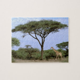 Africa, Botswana, Okavango Delta. Southern Jigsaw Puzzle