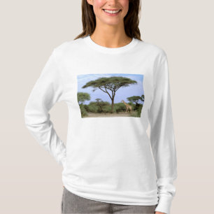 Africa, Botswana, Okavango Delta. Southern T-Shirt