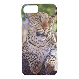 Africa, Botswana, Okvango Delta, wild leopard. 2 iPhone 8/7 Case