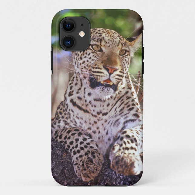 Africa, Botswana, Okvango Delta, wild leopard. 2 Case-Mate iPhone Case (Back)
