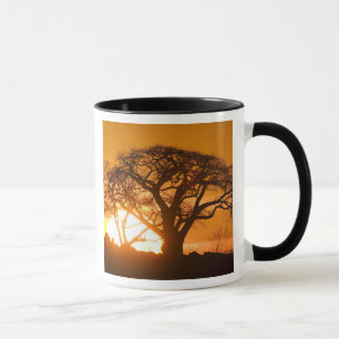 Africa, Botswana, Setting sun silhouettes Baobab Mug