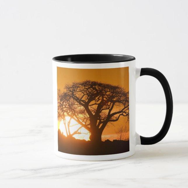 Africa, Botswana, Setting sun silhouettes Baobab Mug (Right)