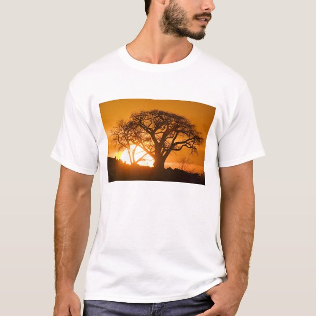 Africa, Botswana, Setting sun silhouettes Baobab T-Shirt (Front)