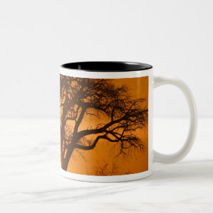 Africa, Botswana, Setting sun silhouettes Baobab Two-Tone Coffee Mug