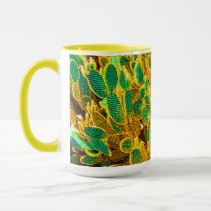 Africa Desert Cactus Plants Prickly Pear Mug