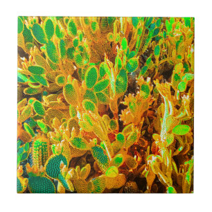 Africa Desert Landscape Nature Cactus Plant Tile