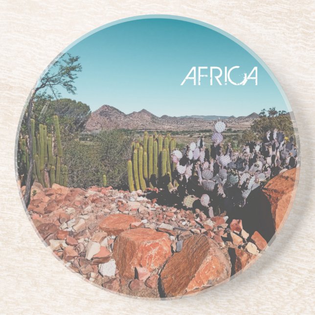 Africa Desert Landscape Nature Cactus Plants Coaster (Front)