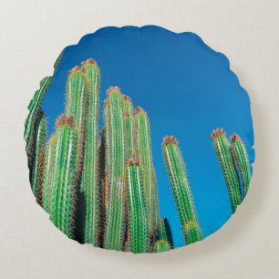 Africa Desert Landscape Nature Cactus Plants Round Cushion