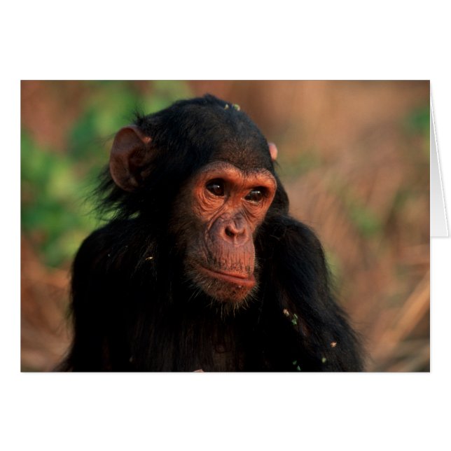 Africa, East Africa, Tanzania (Front Horizontal)