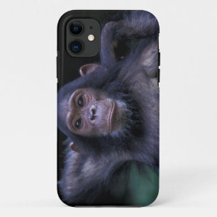 Africa, East Africa, Tanzania, Gombe National 3 iPhone 11 Case