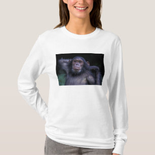 Africa, East Africa, Tanzania, Gombe National 3 T-Shirt
