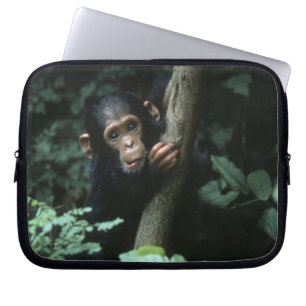 Africa, East Africa, Tanzania, Gombe National Laptop Sleeve