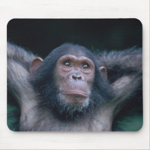 Africa, East Africa, Tanzania, Gombe National Mouse Mat
